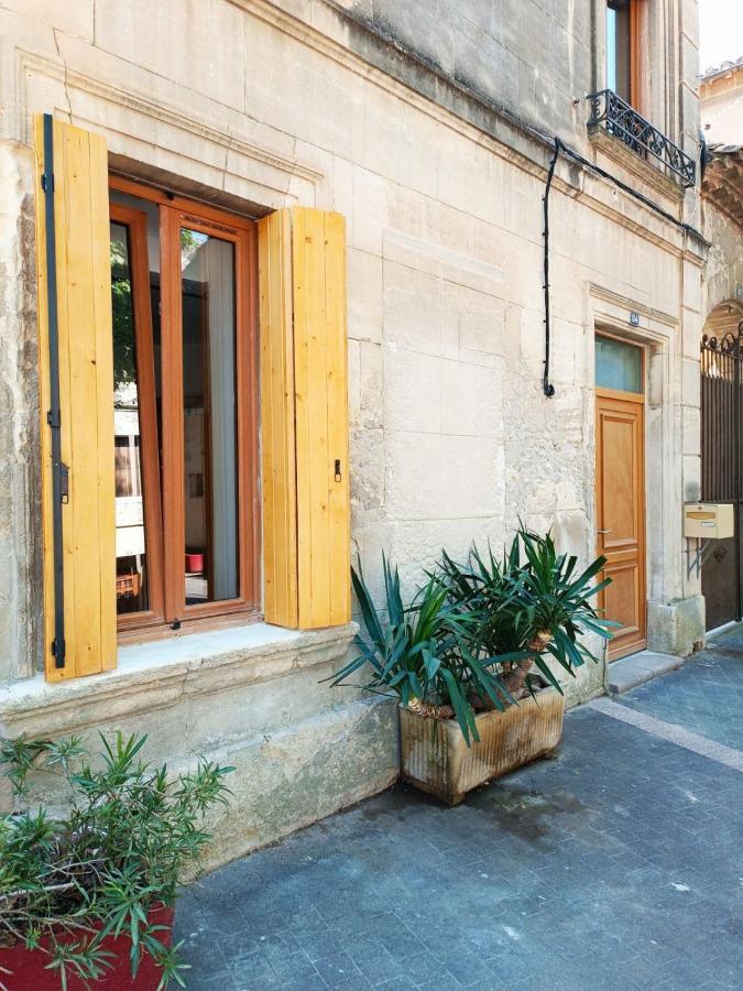 Dans Maison De Maitre, Appartement Independant. Montfrin Екстер'єр фото